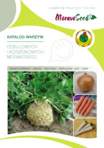Katalog PNOS nasiona warzyw cebulowych