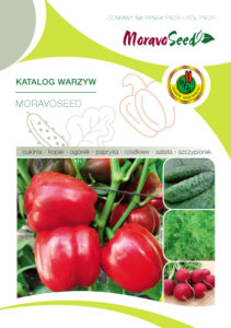 PNOS - nasiona warzyw - rośliny przyprawowe - katalog